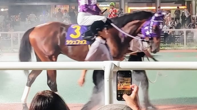🐴おうまさん(25/1/4) 名古屋記念