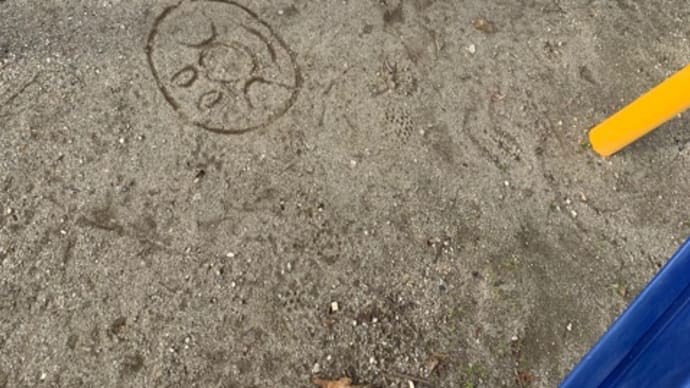 幸福度アゲアゲ