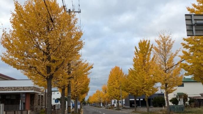 週末の予報が気になる