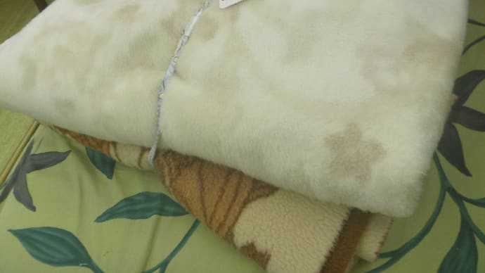 明日は縄巻きです