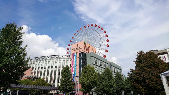2019・10・3  昼飯は、横浜市営地下鉄センター北駅横ヨツバコの土鍋ごはん米三。日ノ出町 ・紅茶専門店TeaRoomFlorで一服。