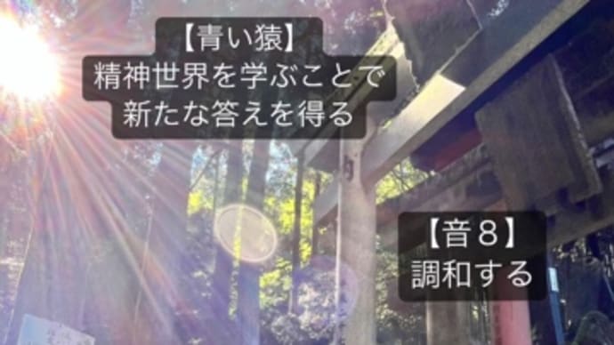 〜マヤ暦 K139 青い嵐・青い猿・音9〜 「白い鏡」の日に「白い鏡」さんと沖縄へ