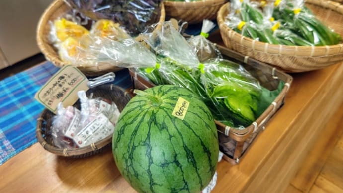 自然派食品と無農薬野菜とお惣菜のお店・・・カナサ(宮里)
