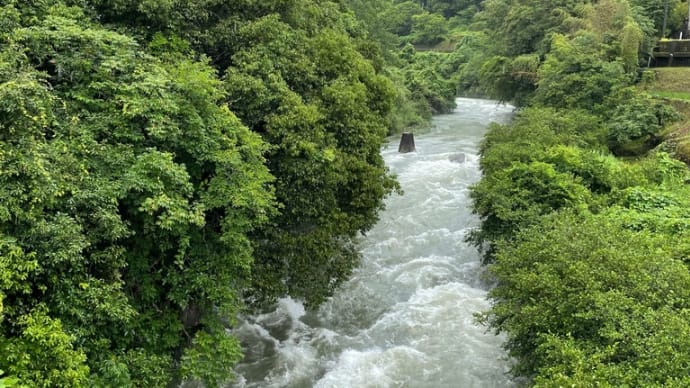 今日の風景