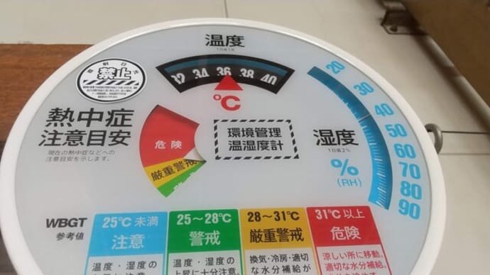 にわかバスケットファンになる