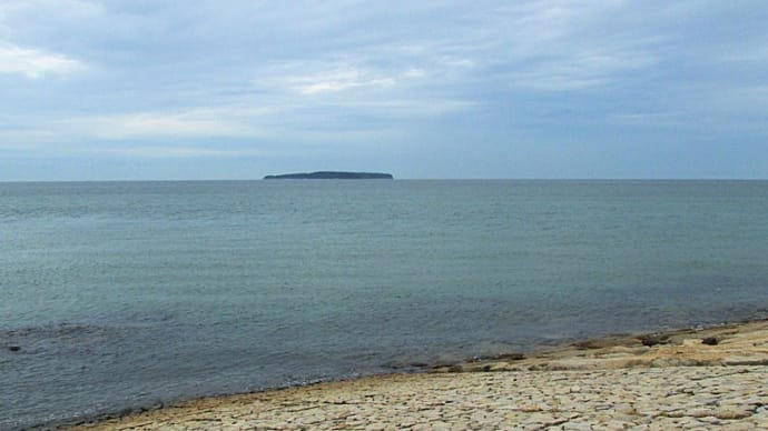 海