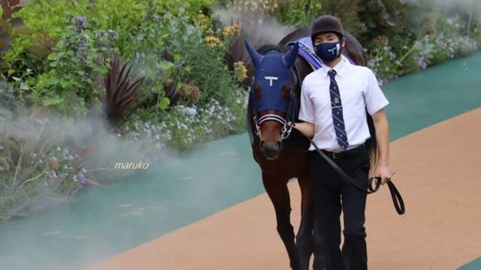 明日の競馬☆