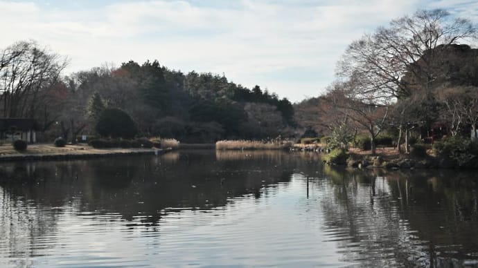 あぁフタマタの 2024 が暮れてゆく