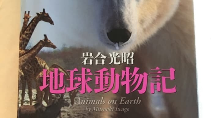 疲れたら岩合さん
