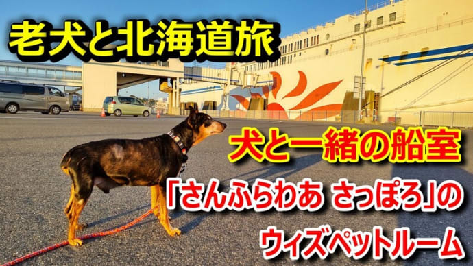 ☆★犬連れ日本一周 「さんふらわあ さっぽろ」のウィズペットルームで北海道へ・・YouTubeに動画UPしました
