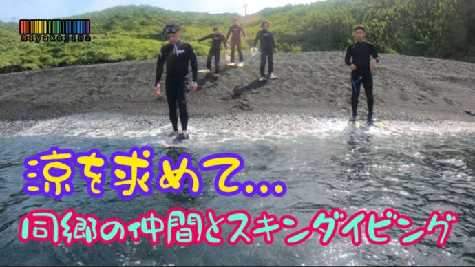 涼を求めて...シュノーケリングでアオウミガメに逢いに🐢