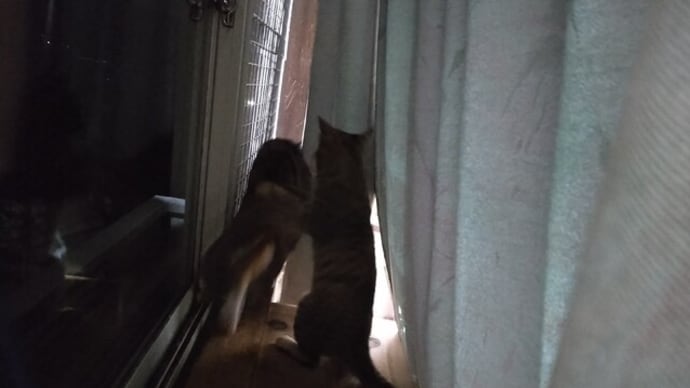 初めての漫才…。