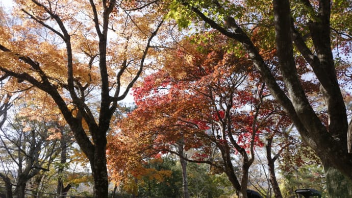 諏訪に来ています②
