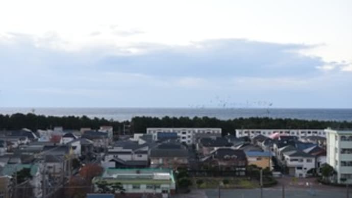 洗濯日和でしょうか