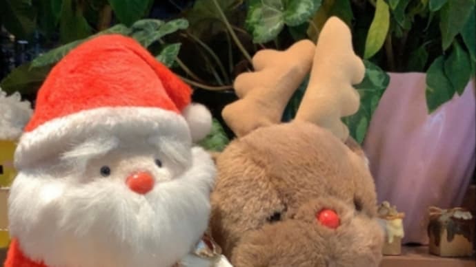 クリスマスケーキについて🎂