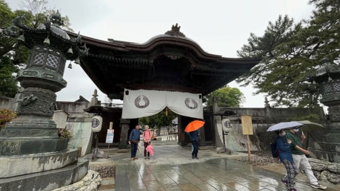 雨の豊川稲荷