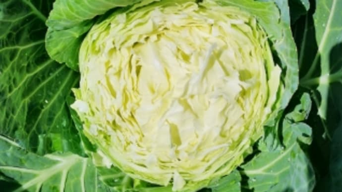 エコノミー症候群