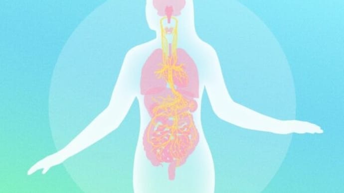 迷走神経は臓器の守護者? 健康を支えるその神秘