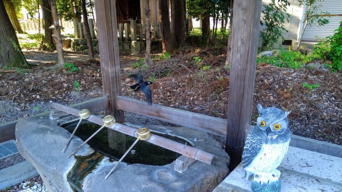 伊賀国二之宮「小宮神社」、再訪問で見えた「南宮山」さすが伊賀の小富士。