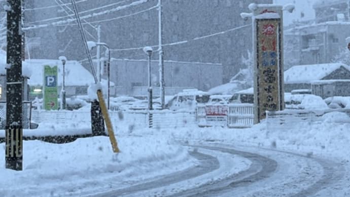 今日も降ってます。大雪警報出てます。