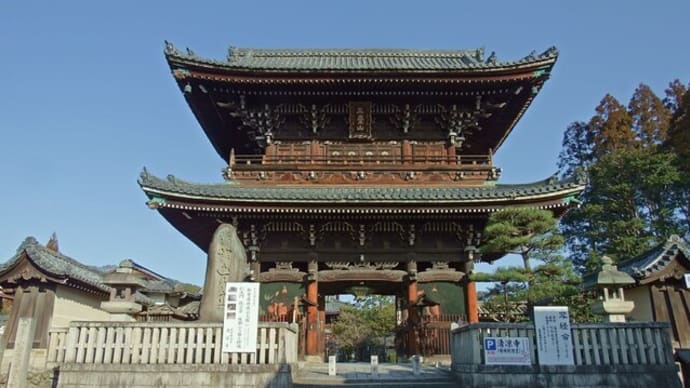 京都の梅シリーズ　清涼寺（せいりょうじ）