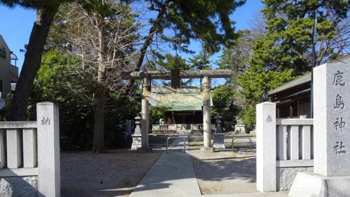 鹿骨に有る鹿骨鹿島神社!こりゃぁ~鹿が気になるね!いましたよ神鹿が!