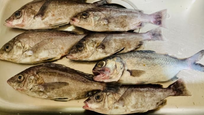 ケンケンの煮魚定食
