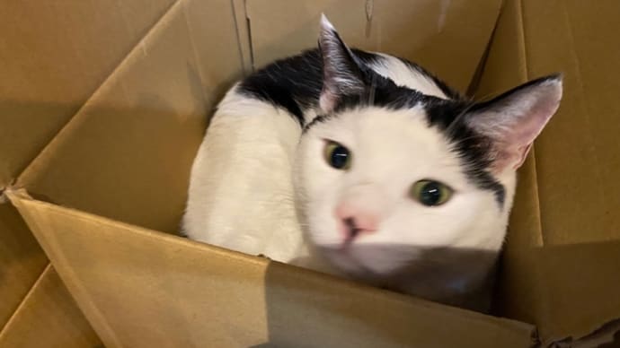 書類の山