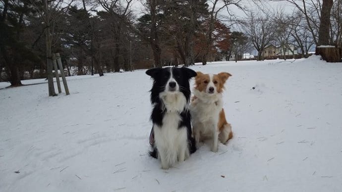 雪上散歩と佐賀牛ステーキ