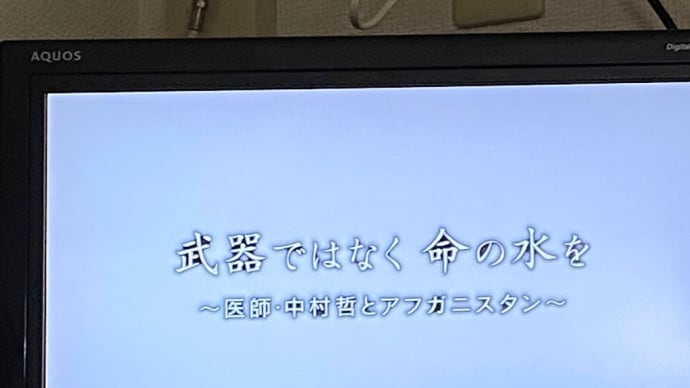 #唯一の啓示 #プロの道 #プロとコントラ