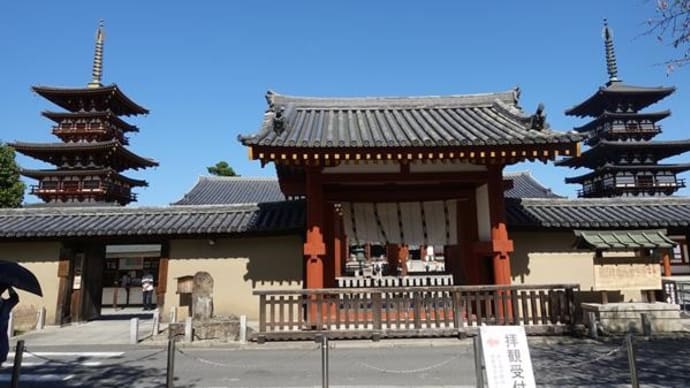 必ず投票に行きましょうね!