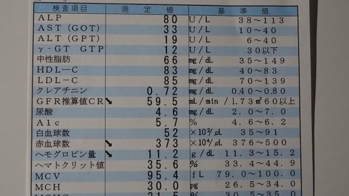 健康診断&コバギボウシ・文鳥香など