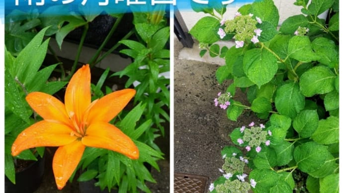 フクエール&水色シュガー完成! 土曜日Aクラス(5月後半) ①
