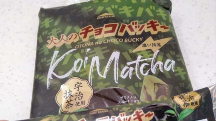 大人のチョコバッキー😆