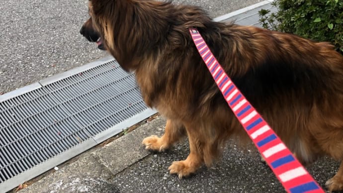 またまたマザー牧場