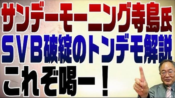 「サンモニ不勉強な左巻き集団」「寺島実郎」