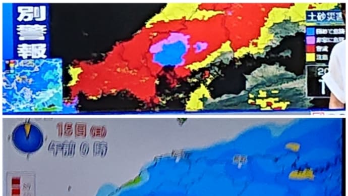 一日中テレビに釘付け