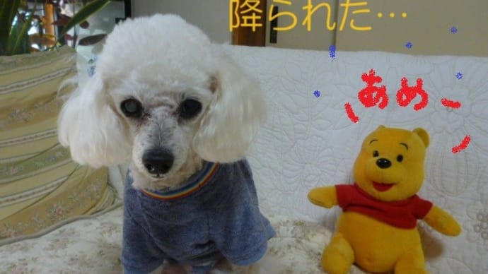 GW明けのお休み~ (*´∇`*) 今日の関東は寒気で大気の状態が不安定…