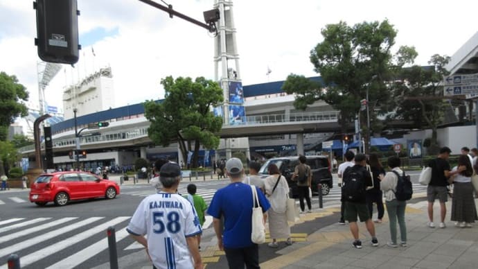 ベイスターズの熱気 ひまわりの日本大通り