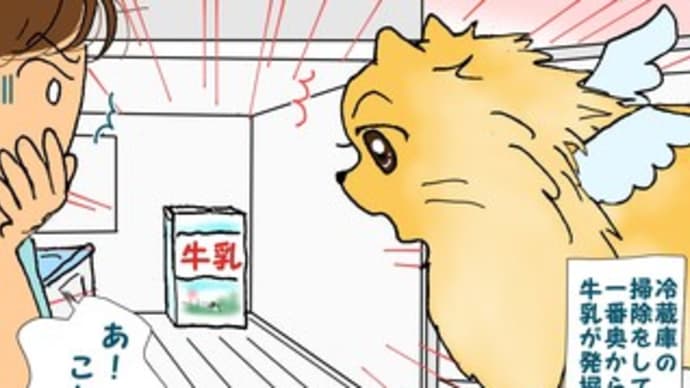 冷蔵庫から発掘