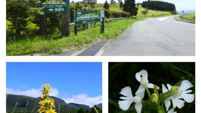 久住高原あざみ台展望所