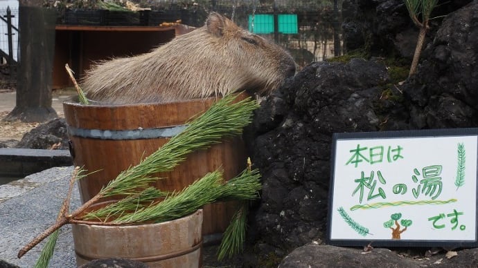 大寒