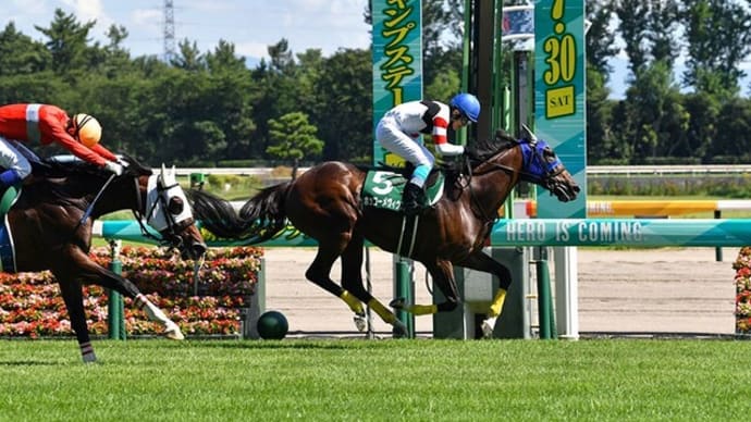 【出馬表】 第25回 新潟ジャンプステークス J・G3
