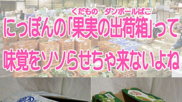 ナンで国産フルーツを出荷するダンボール箱は、あそこまで殺風景で「能書きタラタラ」な外観❕❔なのか・・・
