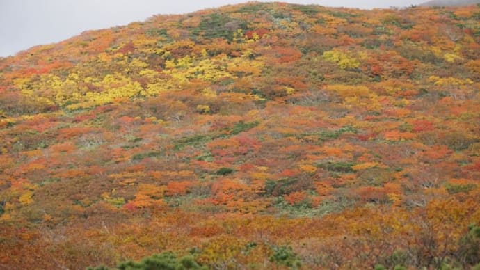 2023紅葉の栗駒山登山
