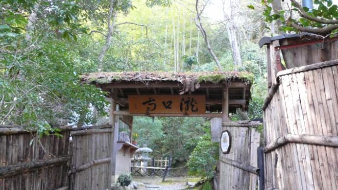 平家物語ゆかりの地を巡る旅　京都20：滝口寺とラッパズイセン