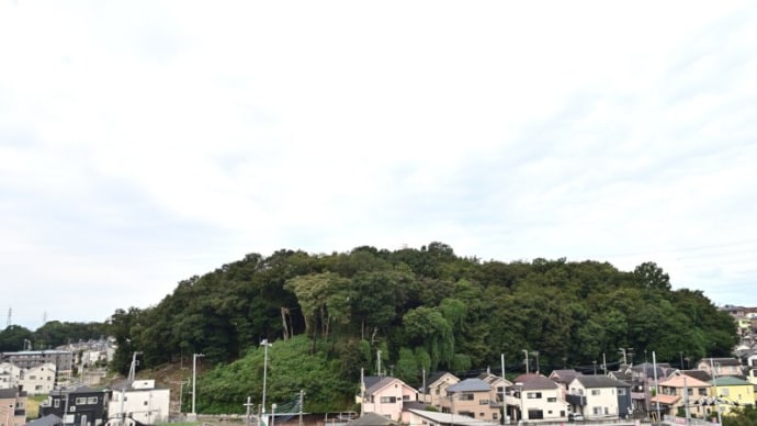 09月29日 曇っていてもわもわ。