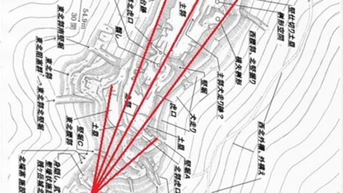 讃岐高松城 城郭ビイスタ工法