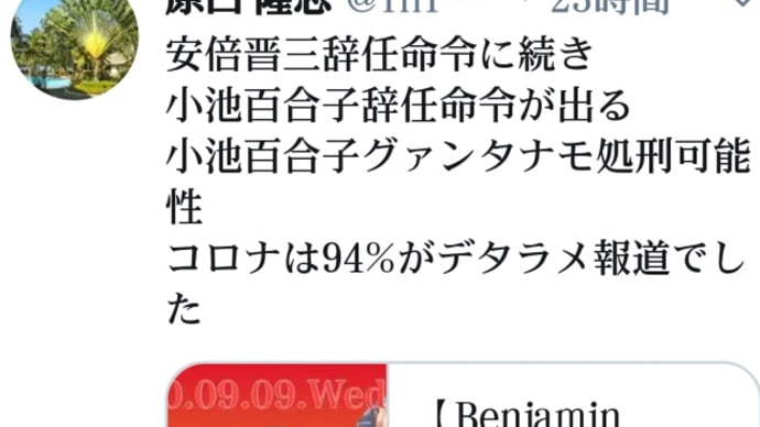 小池百合子辞任命令が出る!安倍晋三辞任命令に続き!小池百はグァンタナモ処刑可能性!新型コロナは94%がデタラメ報道でした!コロナも終わります!米国CBC検疫局も正式発表!小池は人身売買一味でも処刑