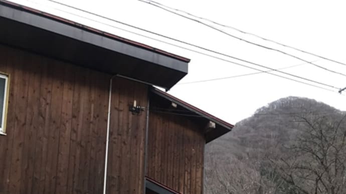 湯野上温泉 ホテル大島(宿泊)〜お風呂③